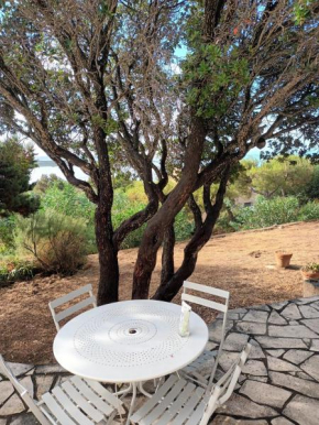 Appartement confortable à Pianottoli-Caldarello, 36 m², avec jardin